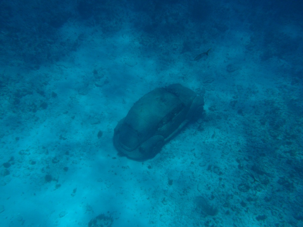[P42900794.jpg]