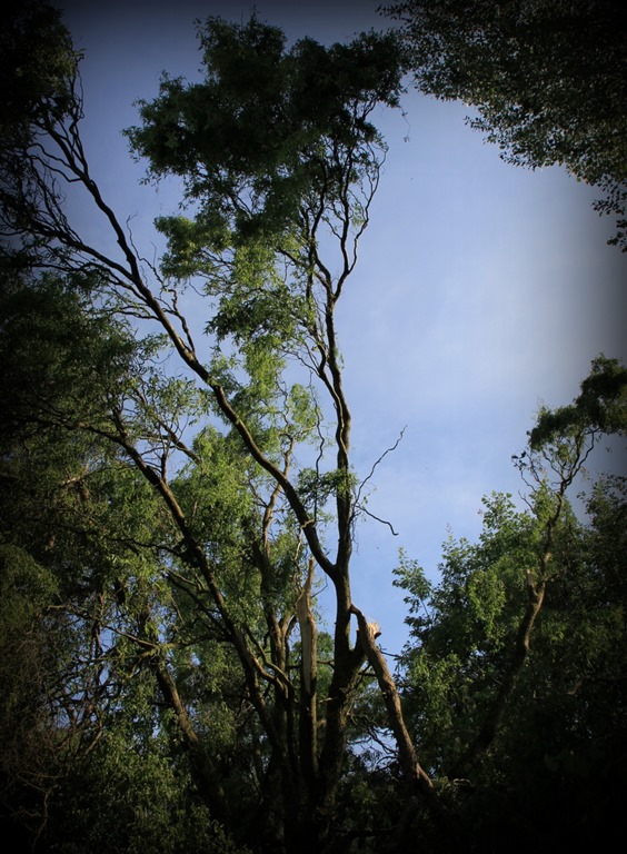 [IMG_6457%255B4%255D.jpg]