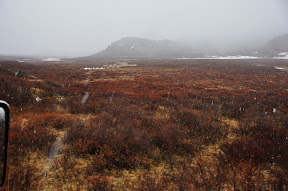 _DSC5068.JPG