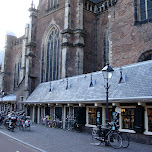 church in haarlem in Haarlem, Netherlands 