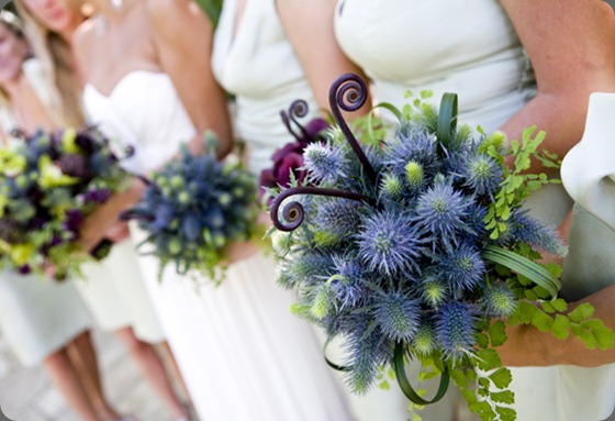 Satcey E. Photography (3) mervelle events Satcey E. Photography (3) mervelle events