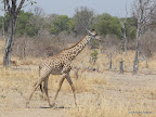 South Luanga Nationalpark