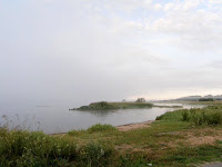 deltolet-01.jpg