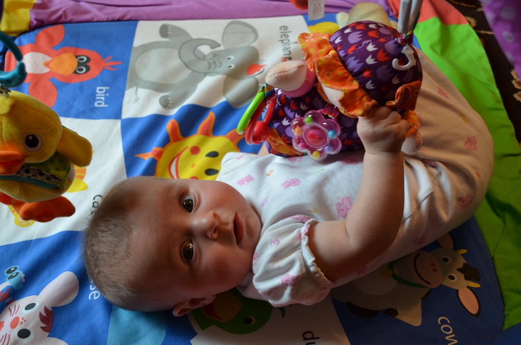 [DSC_4934%255B8%255D.jpg]