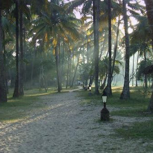Marari Beach Resort