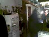 IMAGE_650.jpg