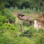 PC011533.JPG