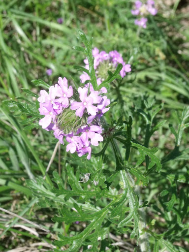 Dscf0798
