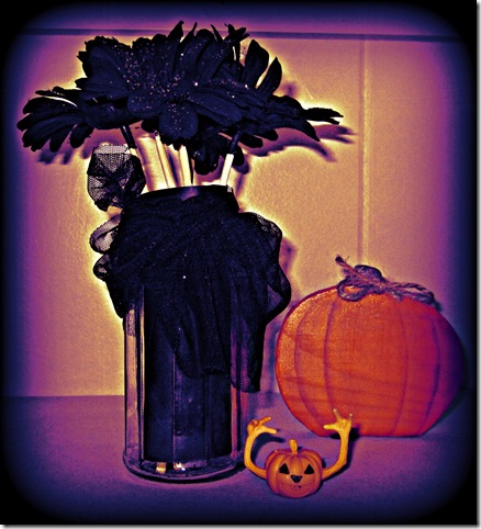 IMG_3503 IMG_3503