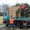 Tannenbaumaktion 08_769.jpg