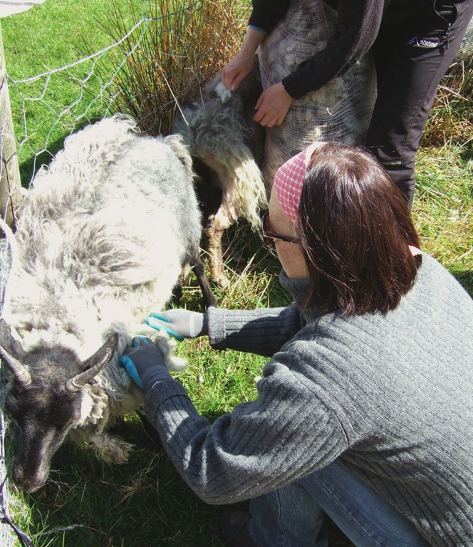 [032%255B1%255D.jpg]