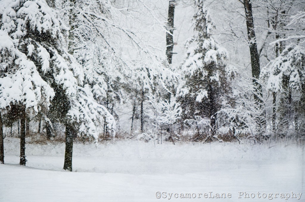 [snow-9-w-SycamoreLane%2520Photography%255B11%255D.jpg]