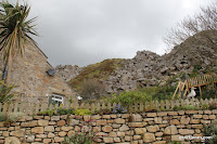 IMG_7988.JPG Photo
