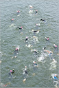 Roth_2010_130.jpg