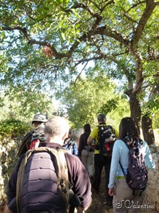 [P1180439%255B3%255D.jpg]