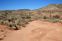 IMG_2316.JPG Photo