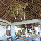 the-dining-area.jpg