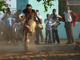 South Africa - 251.JPG