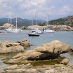 cala longua