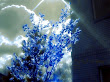 Magick Landscape Of Deep 2