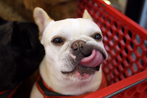 That was tasty and very nice of the clerk!  Everyone here is so helpful!  Say, while we are here, I saw one more thing outside I think we should pick up...