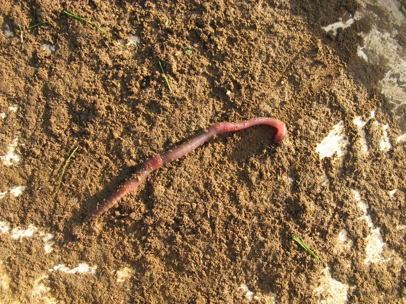 [Image00002%255B3%255D.jpg]