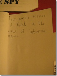 IMG_9357 IMG_9357