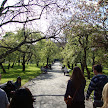 DSC00365.JPG