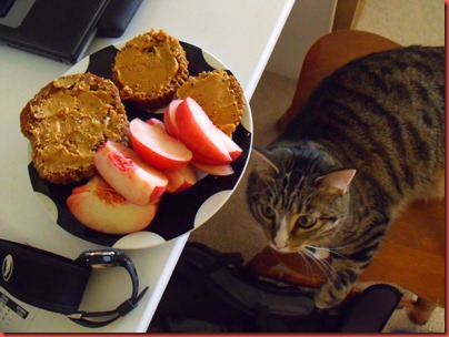 pics 003
