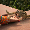 IMG_7984.JPG