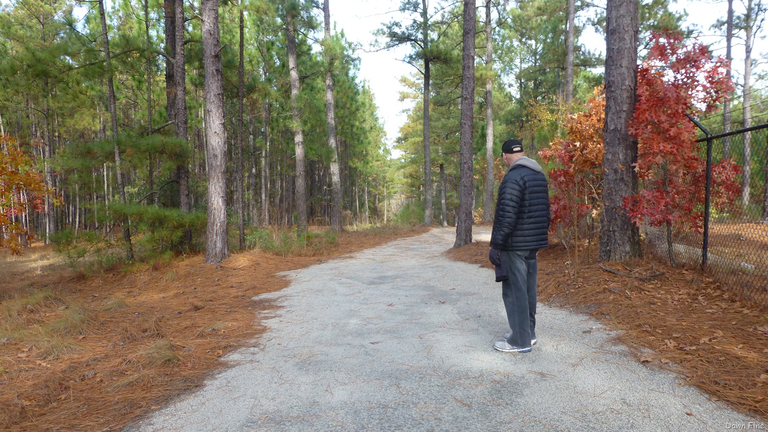 [Greenway_0093.jpg]