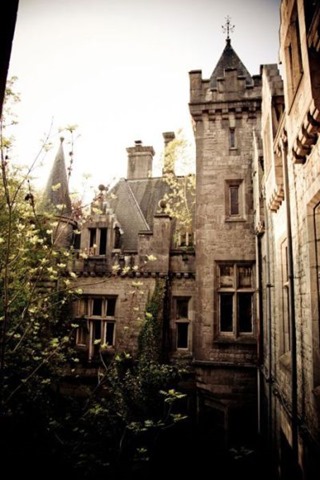 [abandoned-castle-belguim-4%255B2%255D.jpg]