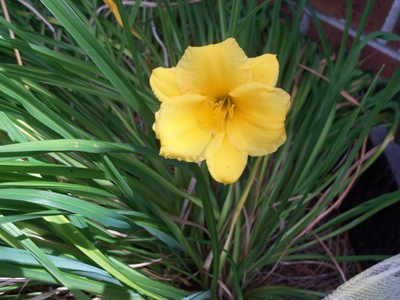 [Outdoor2011spring0072.jpg]