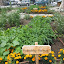 Carver Garden - July16CarverGetRDoneDay