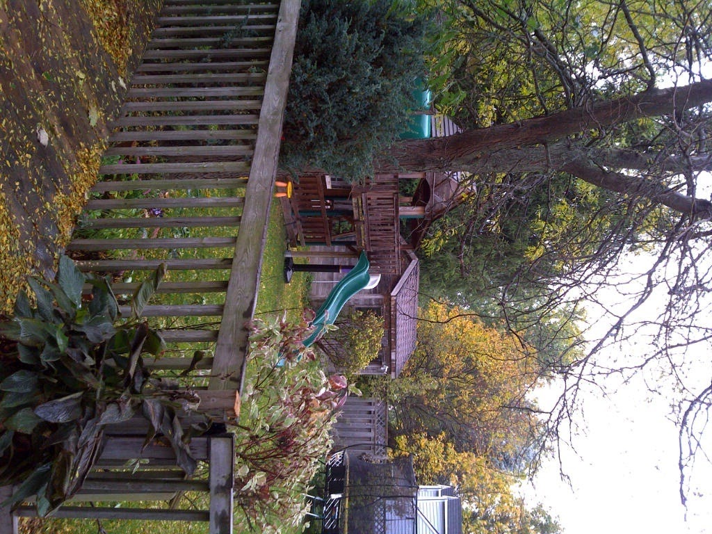 [WetBackyard%255B5%255D.jpg]