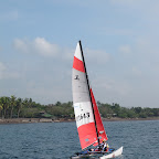 IMG_2982.jpg