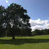 Bath & Combe Hay