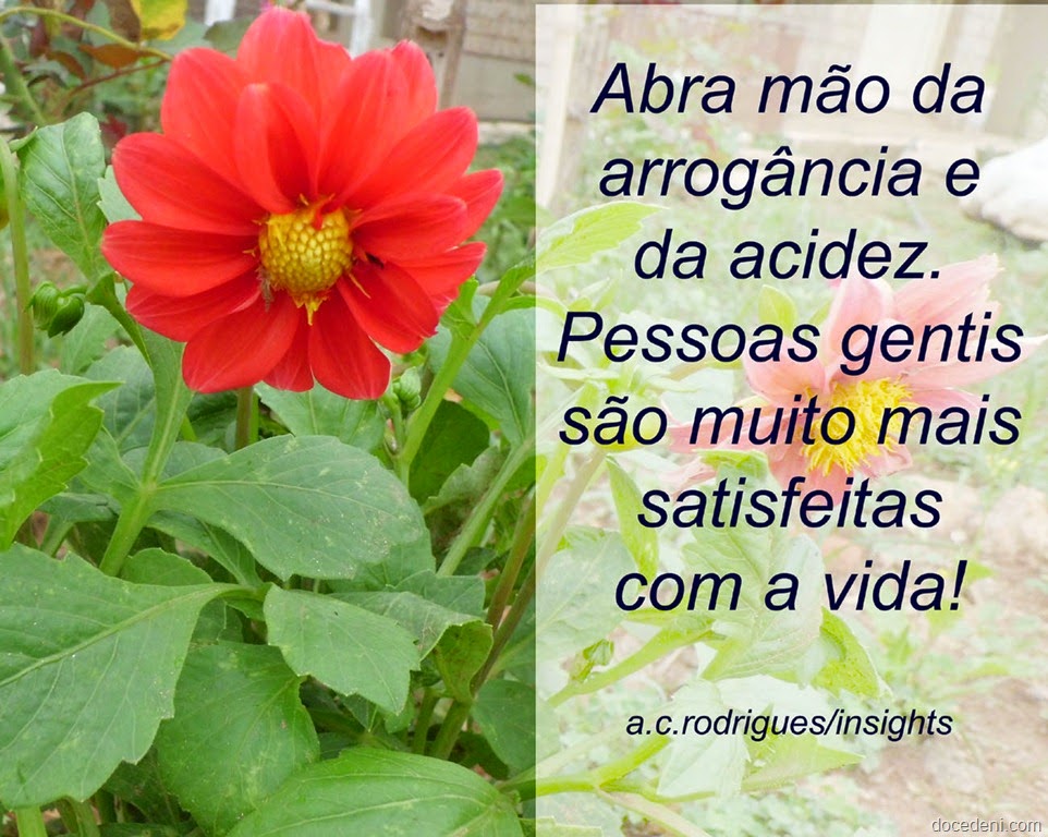 [Gentileza%255B2%255D.jpg]