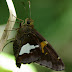 20100725_63