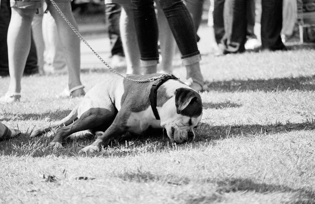 [Lazy-Summer-Evenings---Film%255B4%255D.jpg]