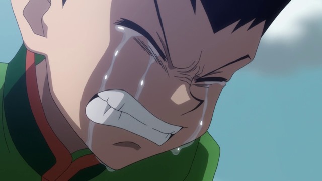 [Hunter-X-Hunter---91---Large-362.jpg]