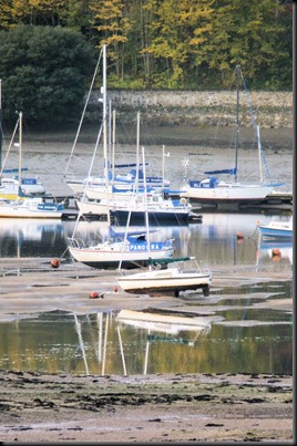 estuary 009