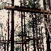Adventure Centre History - 090.jpg