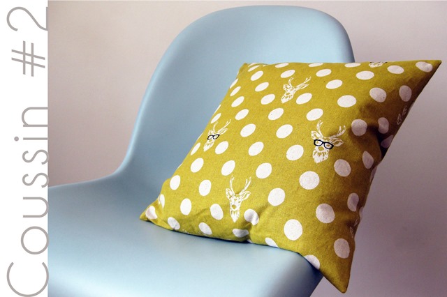[coussin1%255B3%255D.jpg]
