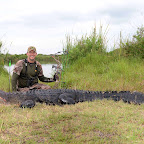 Dud Gator 1.jpg