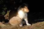 _DSC0051.JPG
