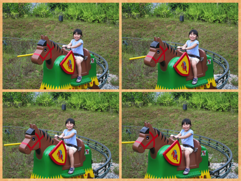 wooden-horse.png Wooden horse