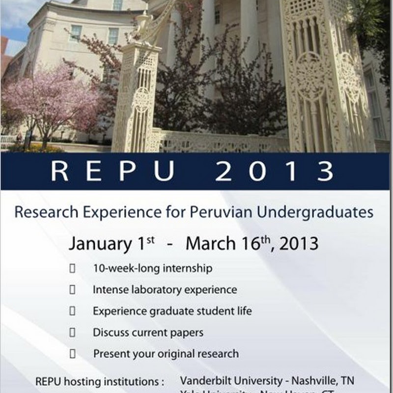REPU 2013