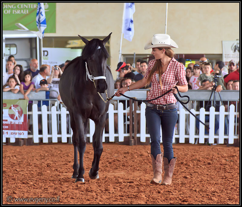 il/Фото: Stallion Show 2011 (20110416 stllion show 078 2313)