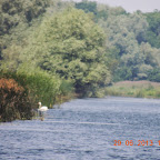 DSCN8191.JPG